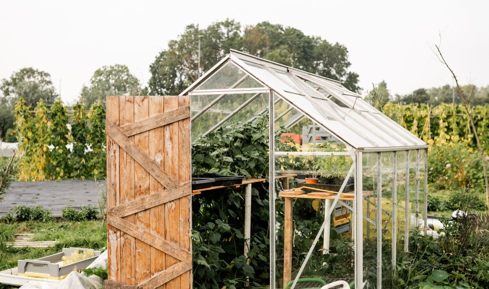 Maassluis Groentemeester 1