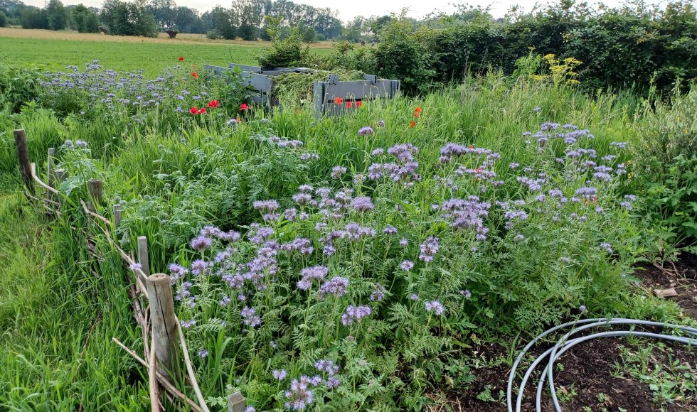 De Pinte Ecotuin van de familie Kips-Lippens  6