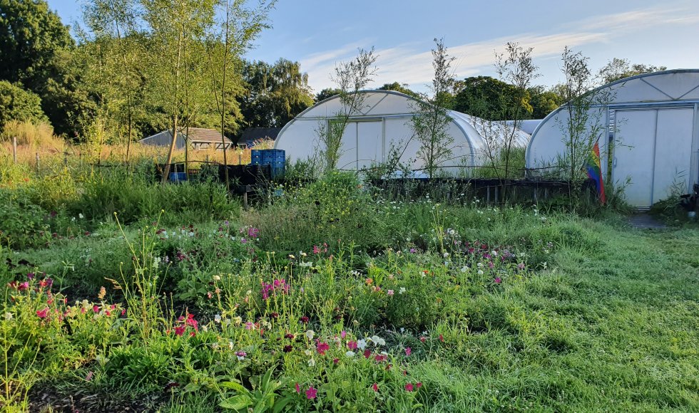 Delft Landgoed Buiten Leeft 4