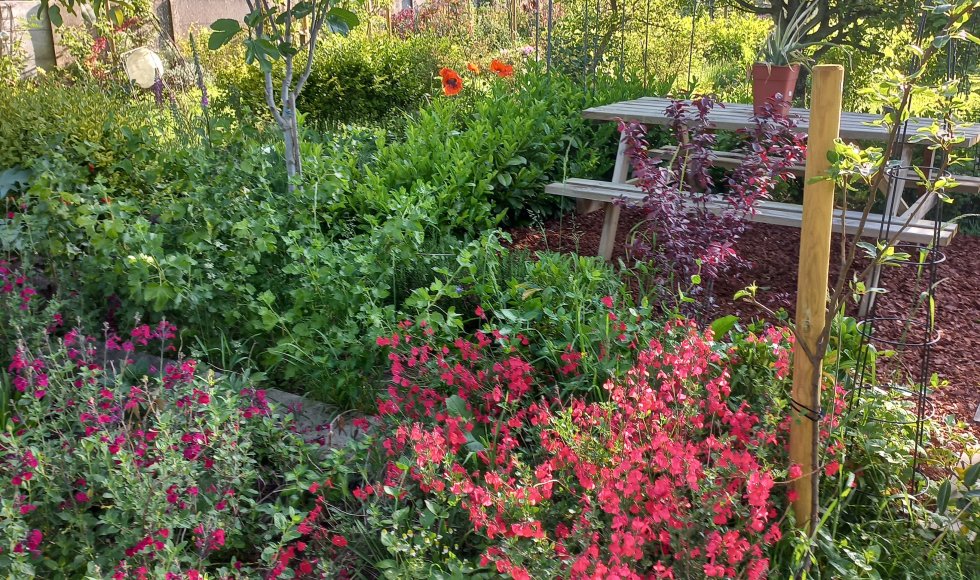 Desselgem garden of art 3