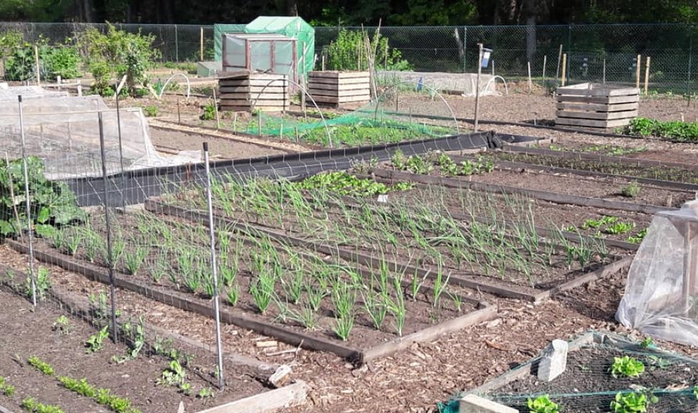 Hertenweide Diepenbeek