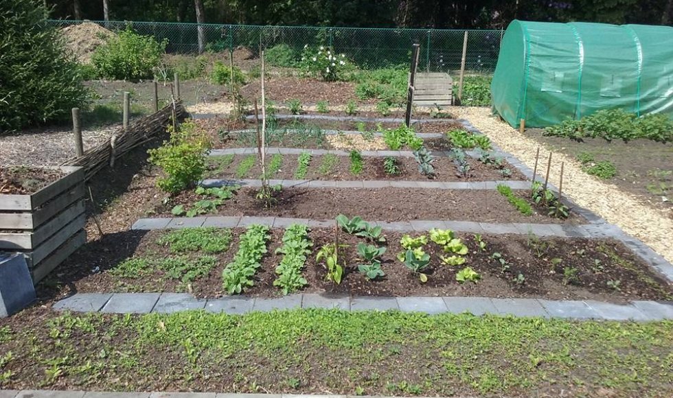 Hertenweide Diepenbeek