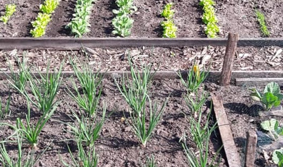 Hertenweide Diepenbeek