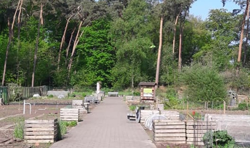 Hertenweide Diepenbeek