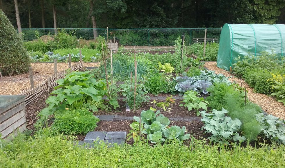 Hertenweide Diepenbeek