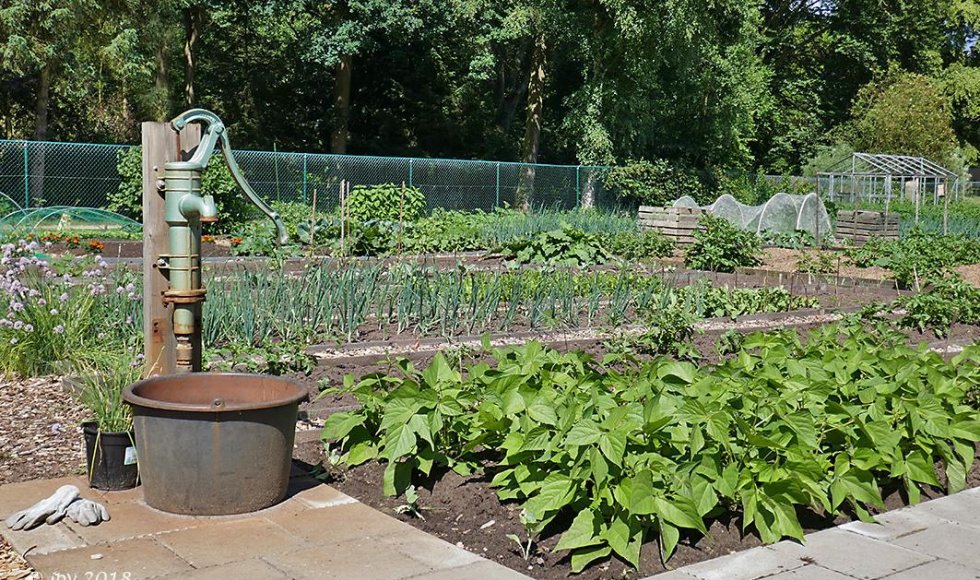 Hertenweide Diepenbeek