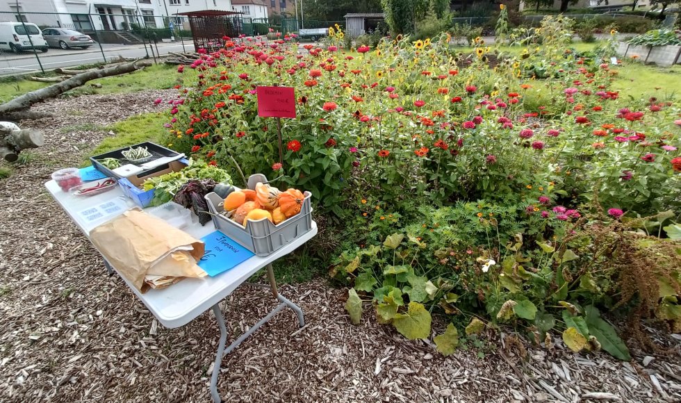 Diest samentuin Kwartiermakerij 3