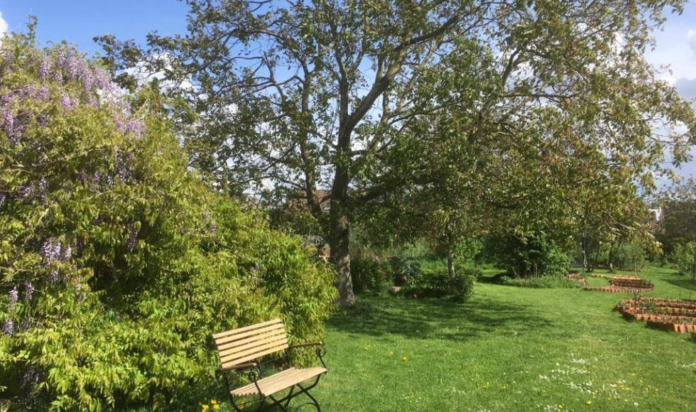 Dilbeek_Kattenstraat_Bes Klein en Sla Groot_Irina Estercam