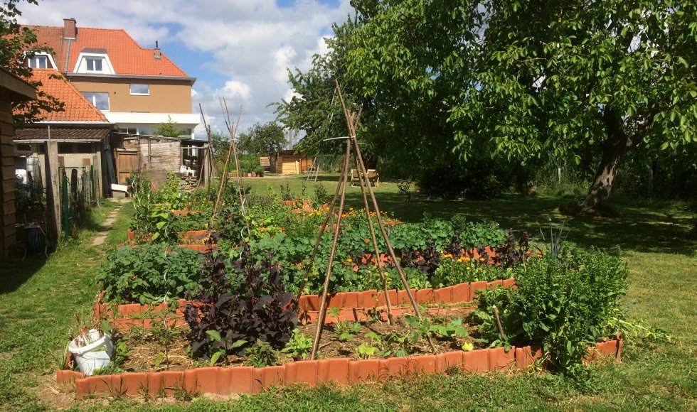 Dilbeek_Kattenstraat_Bes Klein en Sla Groot_Irina Estercam