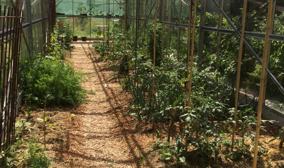 Dilbeek_Kattenstraat_Bes Klein en Sla Groot_Irina Estercam