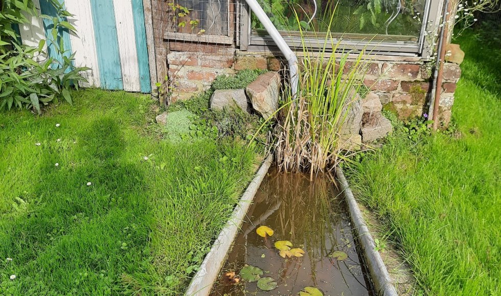 Groene tuin de Wijtham