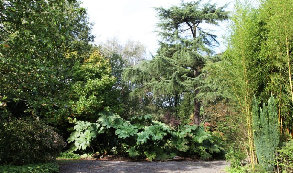 Ecologisch Tuinpark Reedpool