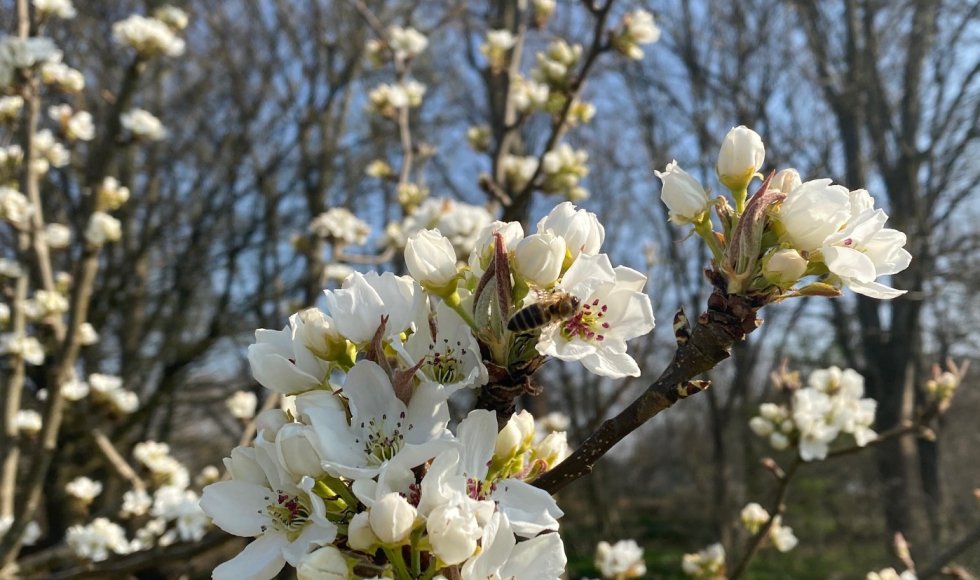 Natuurtuinen Jekerdal