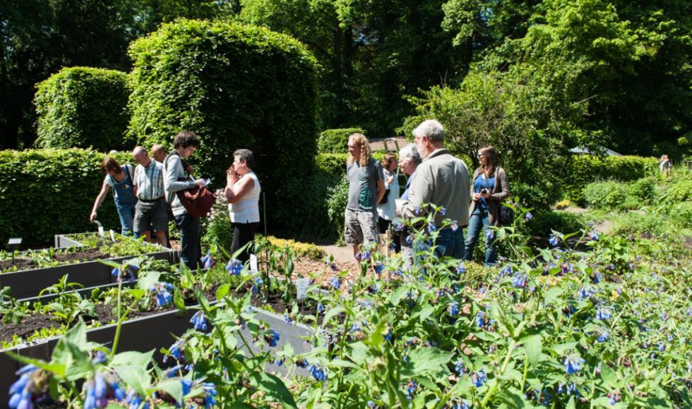 Dodoenstuin kruidentuin