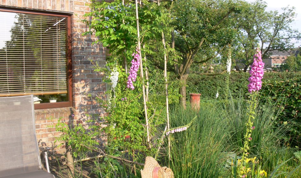 Ecofilia biodiverse tuinen 2