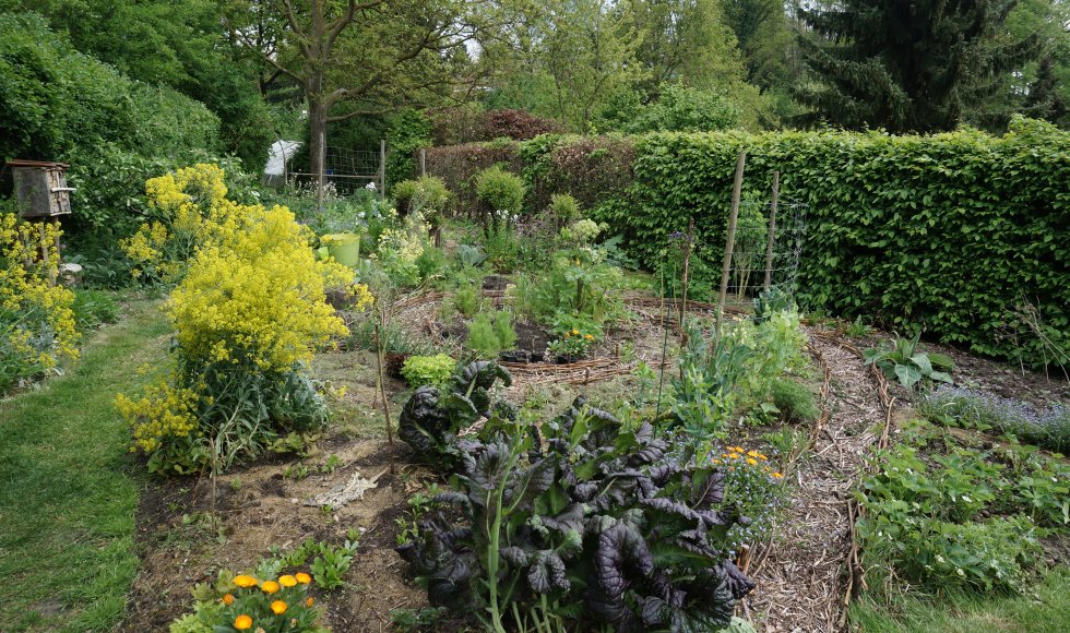 Marleen Bolle_Vignero