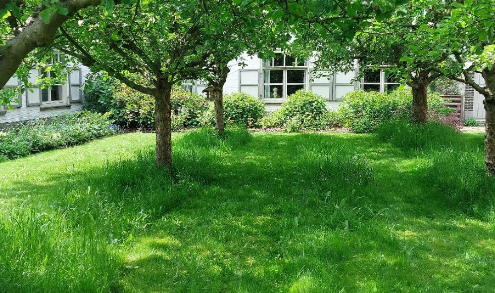 Eke In de bloeiende boomgaard 11