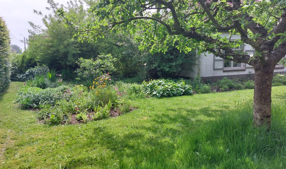 Eke In de bloeiende boomgaard 2