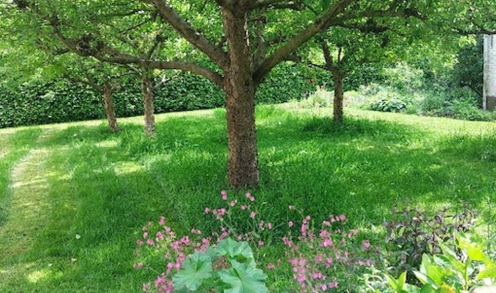 Eke In de bloeiende boomgaard 3