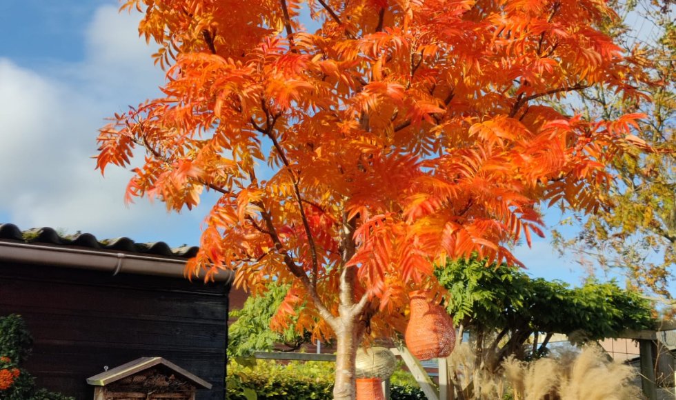 Emmen Buurman Buurvrouw 2