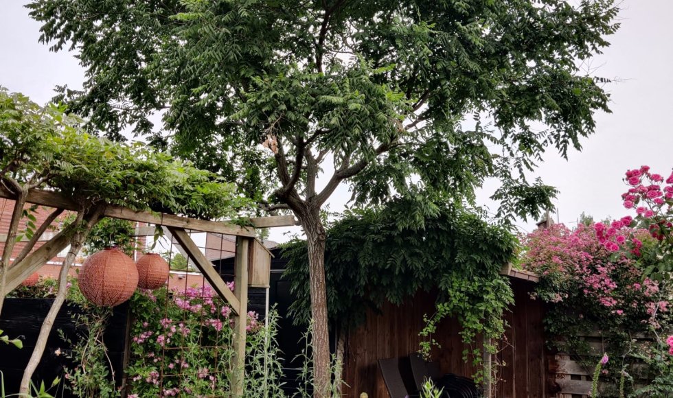 Emmen Buurman Buurvrouw 3