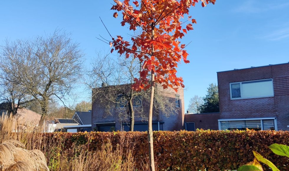 Emmen Buurman Buurvrouw 4