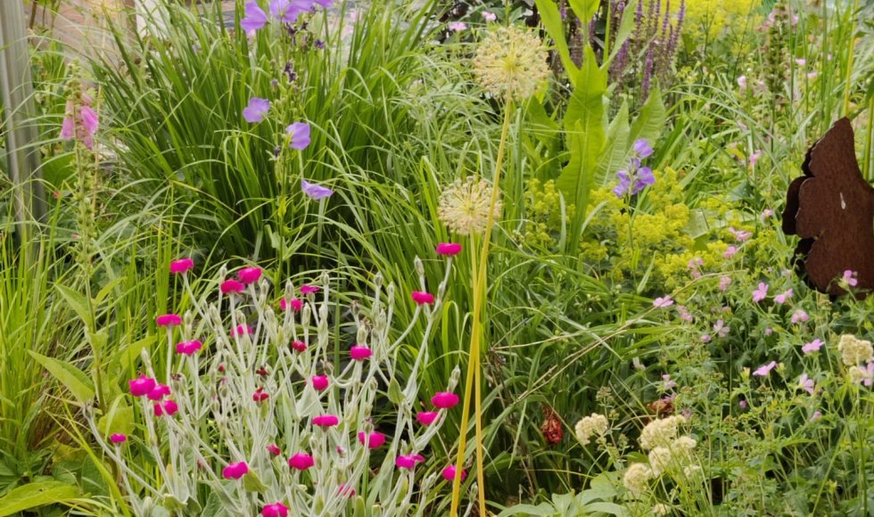 Emmen Buurman Buurvrouw 5