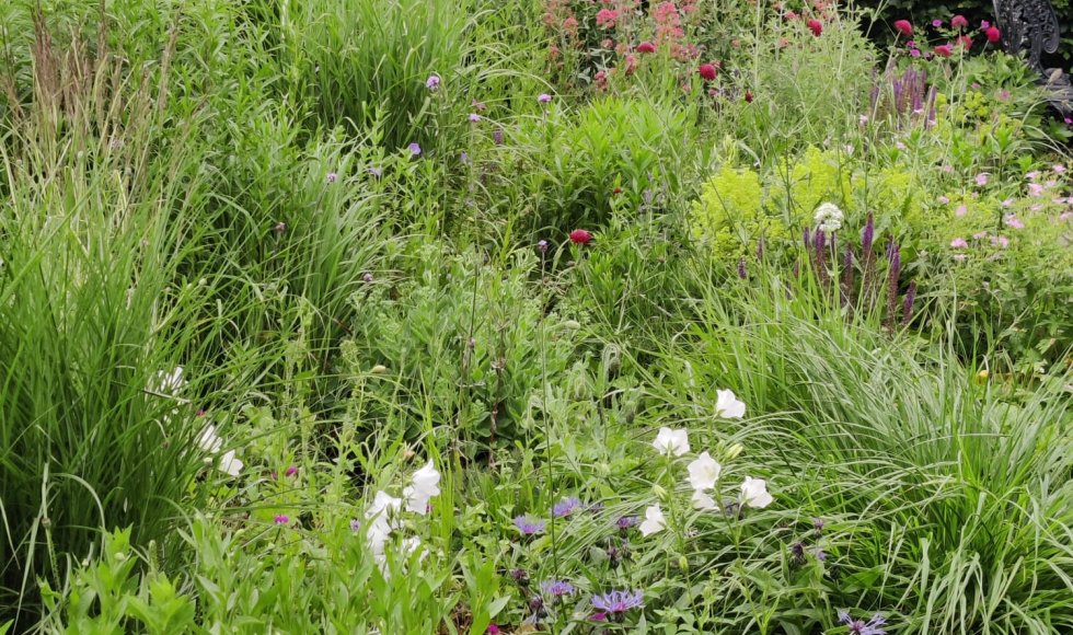 Emmen Buurman Buurvrouw 6