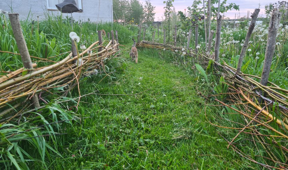 Emmy Meesters_Almere