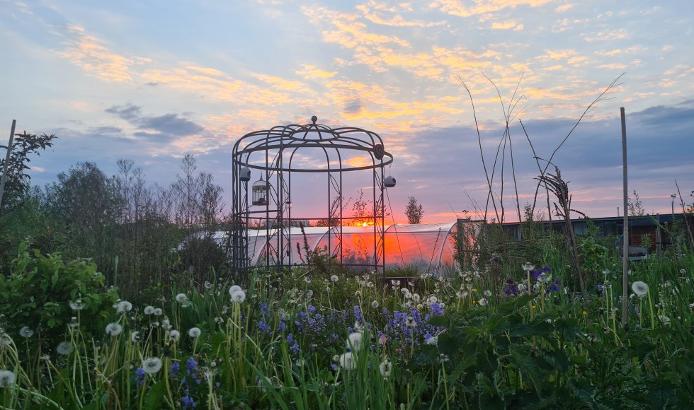 Emmy Meesters_Almere