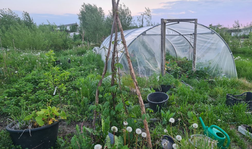 Emmy Meesters_Almere