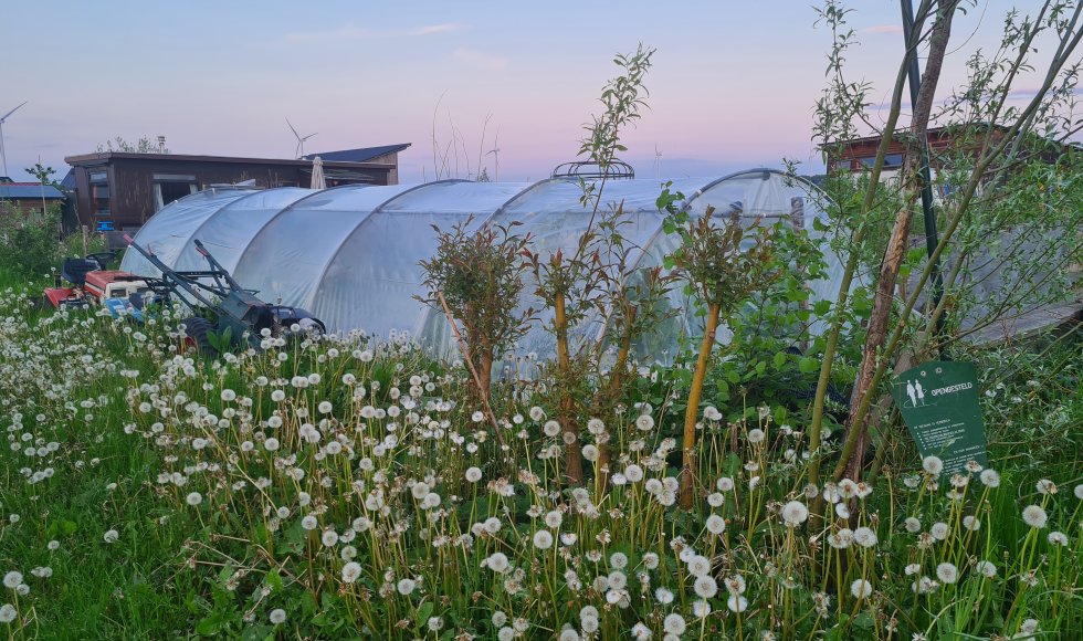 Emmy Meesters_Almere