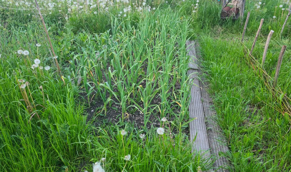 Emmy Meesters_Almere