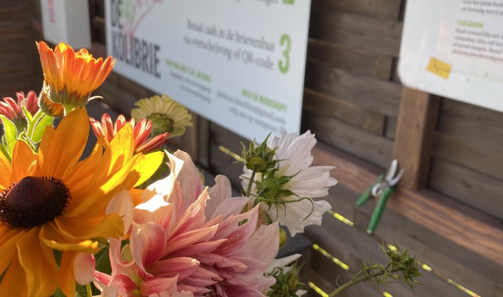 Evergem Pluktuin de Kolibrie 3