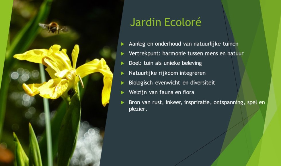Jardin Ecoloré