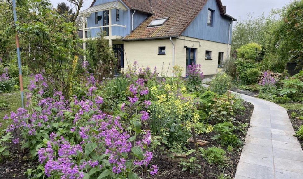 Gent Les Bégonias 10