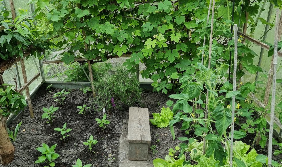 Goes Ecotuin van Mahima Sinke 2