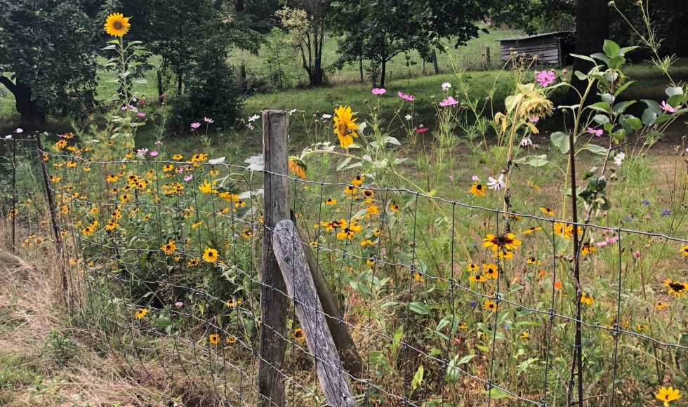 Grotenberge Ecotuin van Jan en Kristien 5