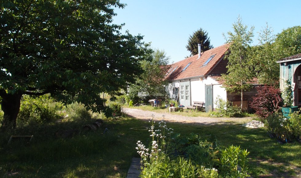 Grubbenvorst Kwekerij Lovendaal2