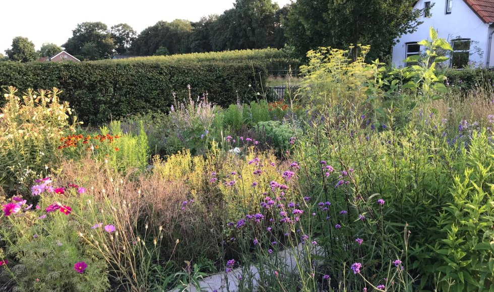 Grubbenvorst Kwekerij Lovendaal3