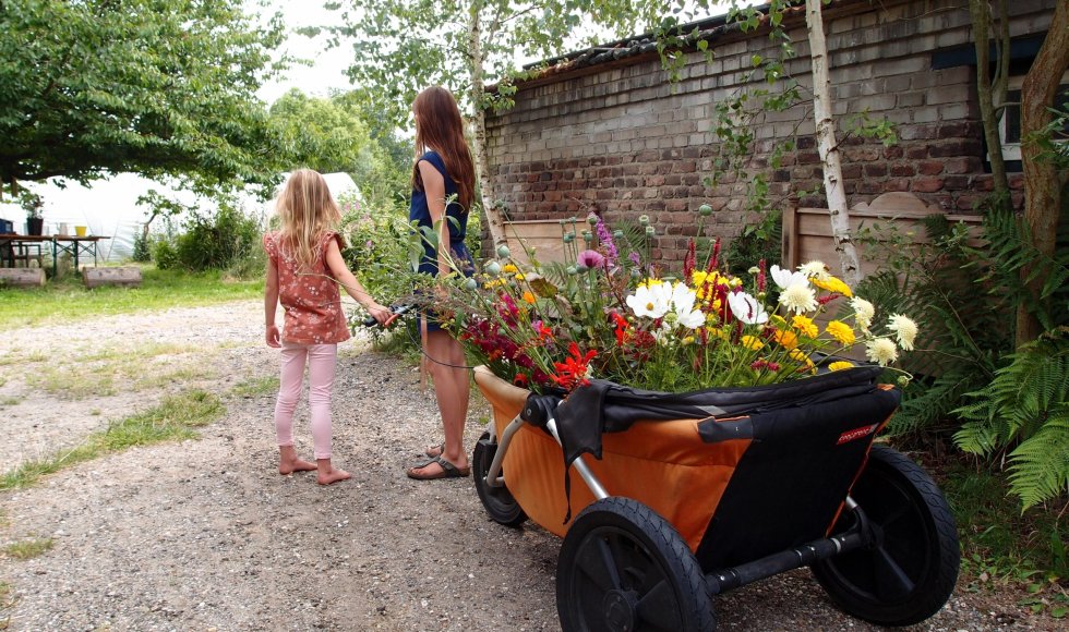Grubbenvorst Kwekerij Lovendaal4