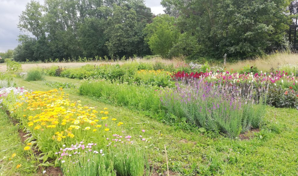 Halle-Zoersel Mollenhoeve3