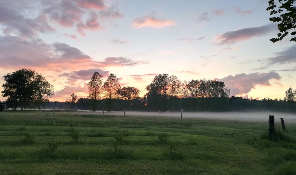 Halle-Zoersel Mollenhoeve 2