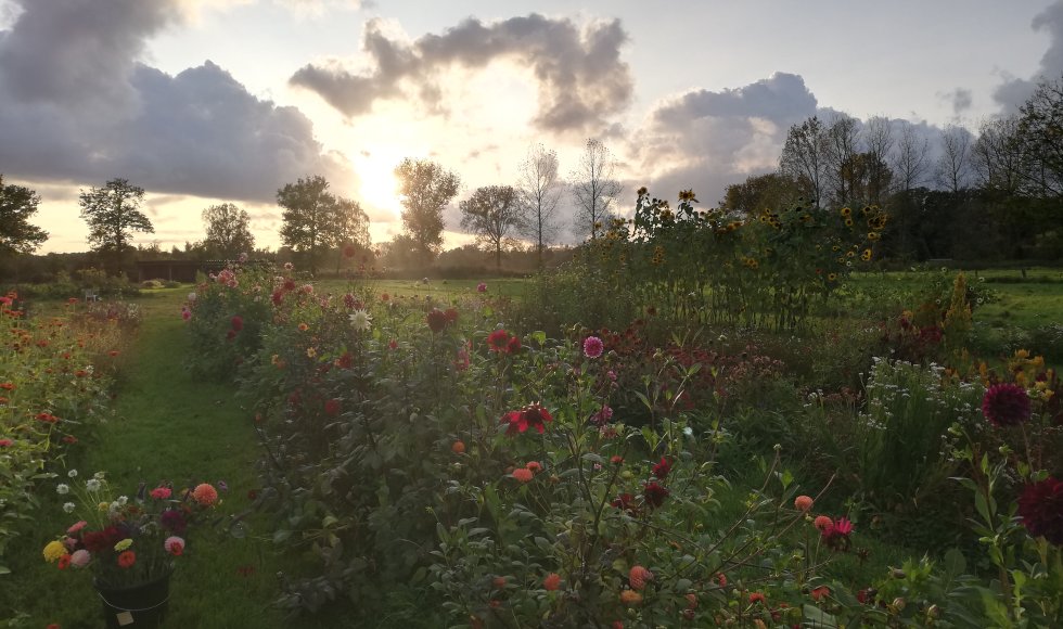 Halle-Zoersel Mollenhoeve2