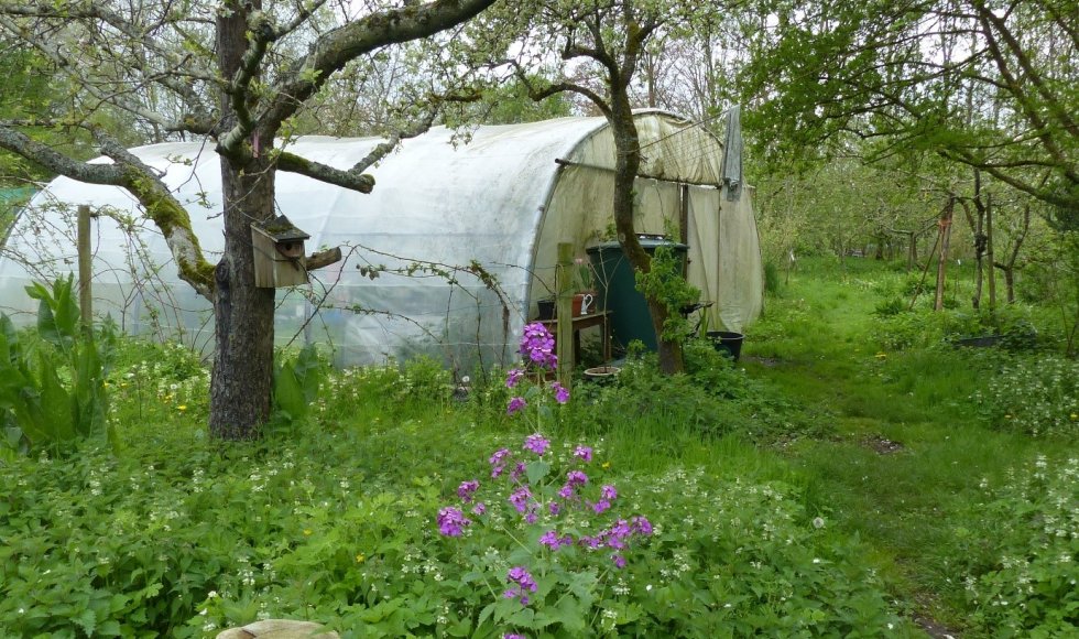 Wilhalla Zoersel Daniël Willaeys