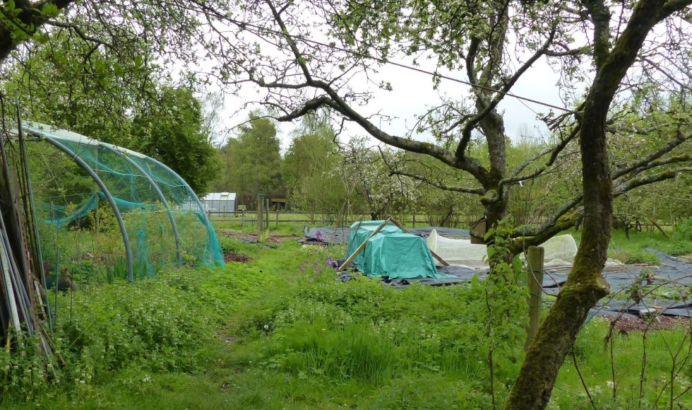 Wilhalla Zoersel Daniël Willaeys