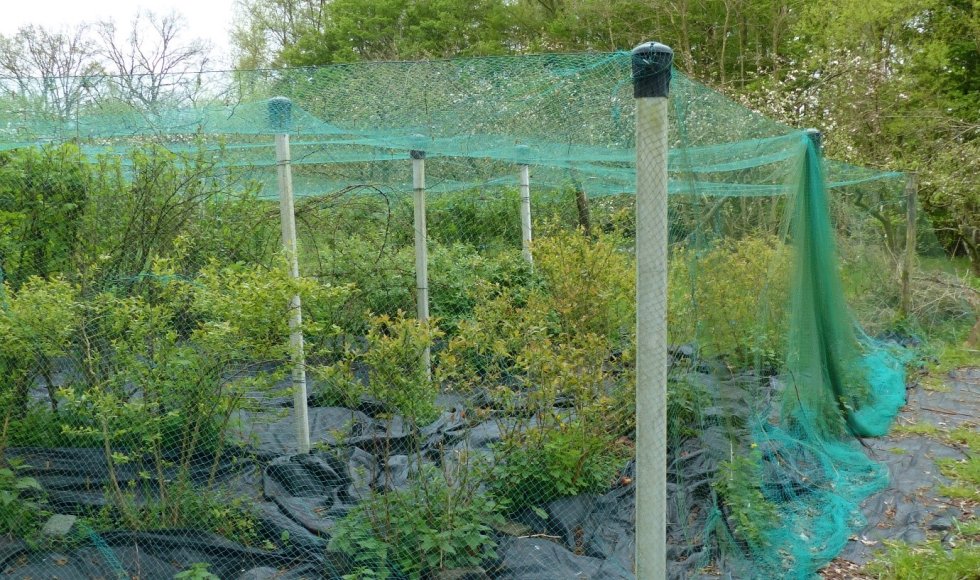 Wilhalla Zoersel Daniël Willaeys