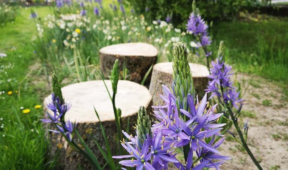 Erembodegem Hemelse Gaarde 5