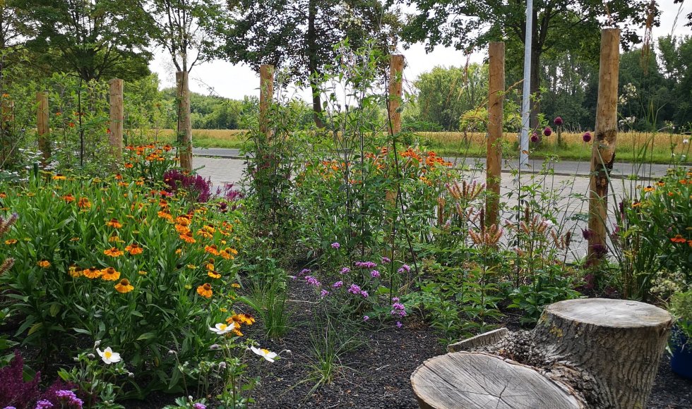 Erembodegem Hemelse Gaarde 6