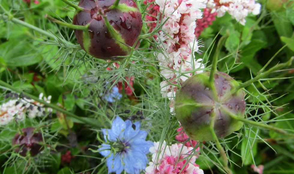 Herent Ecotuin van de familie Verschueren 2